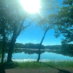 Meet your Posher, Timothy